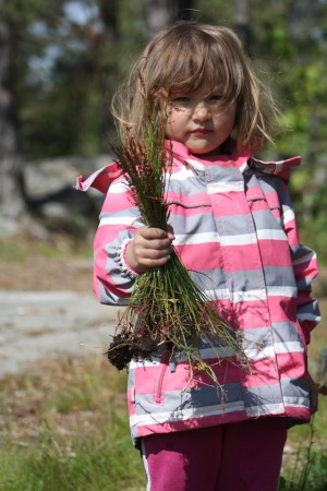 Ronja. Soturirunoilijan muusa.